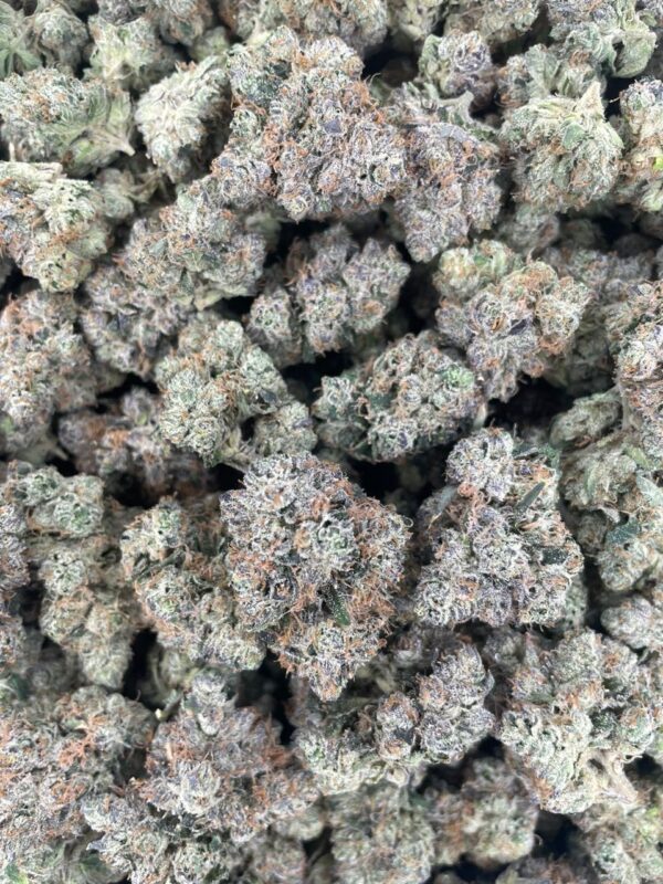 fruit loops strain