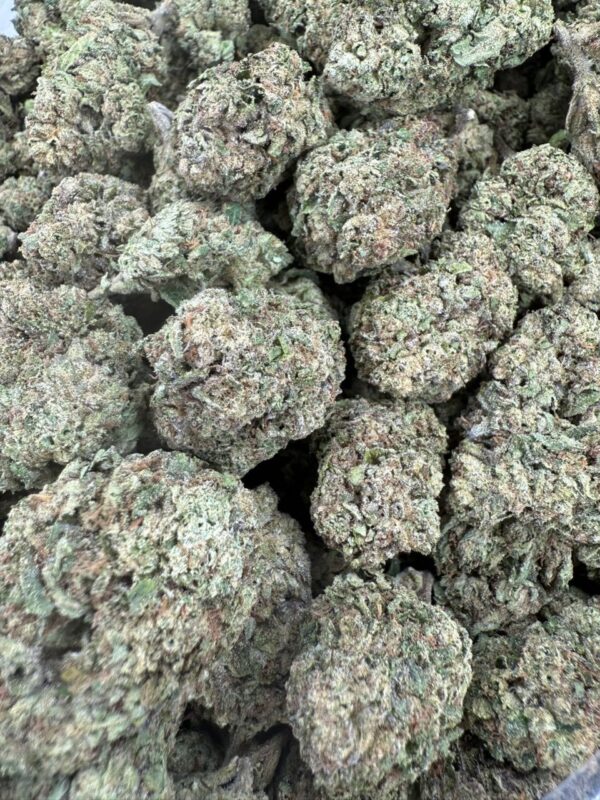 LCG Strain LCG Strain