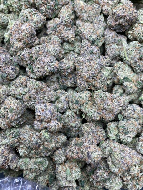 White Zerbert strain