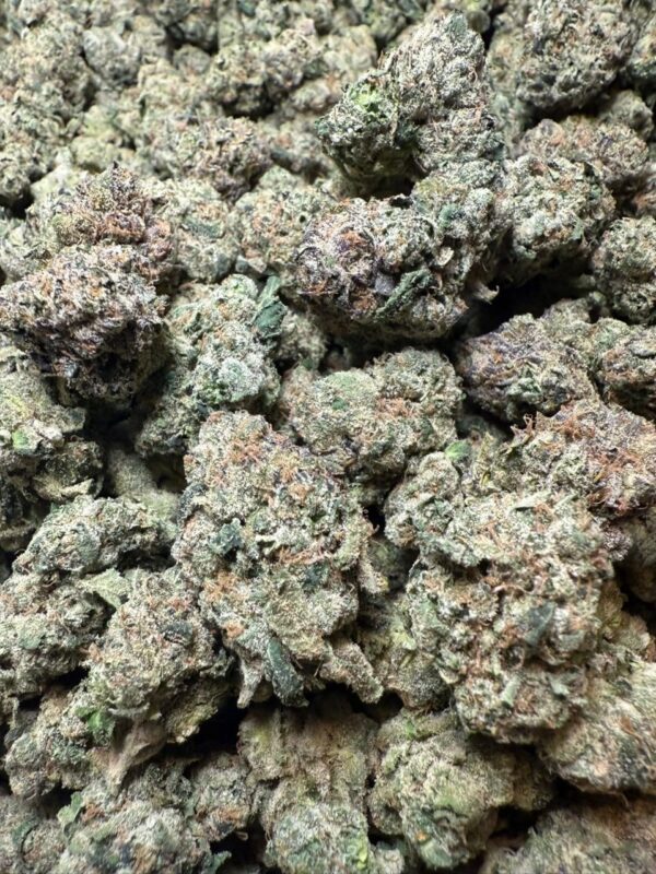 uncle snoop strain uncle snoop strain