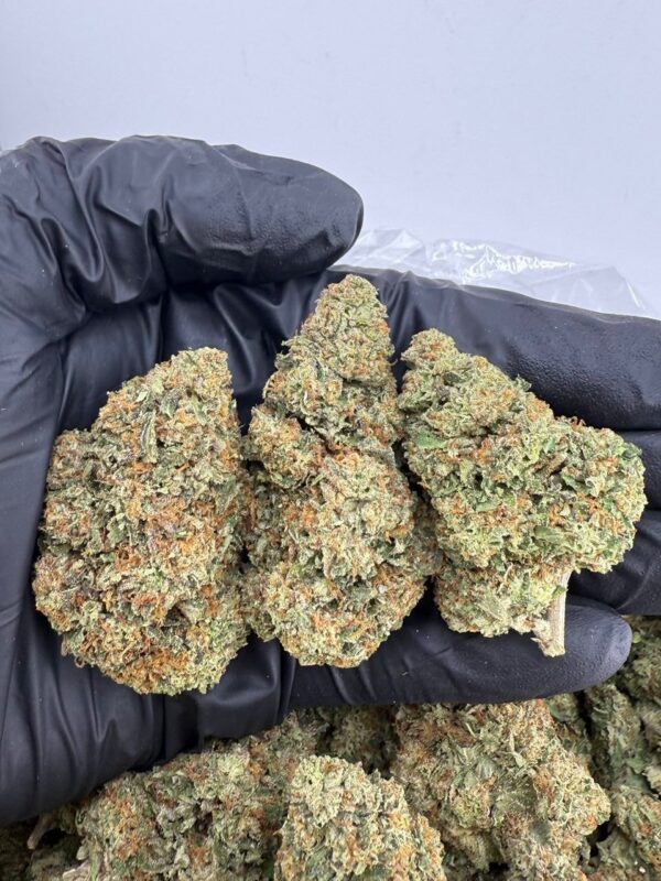 apple fritter x runtz strain