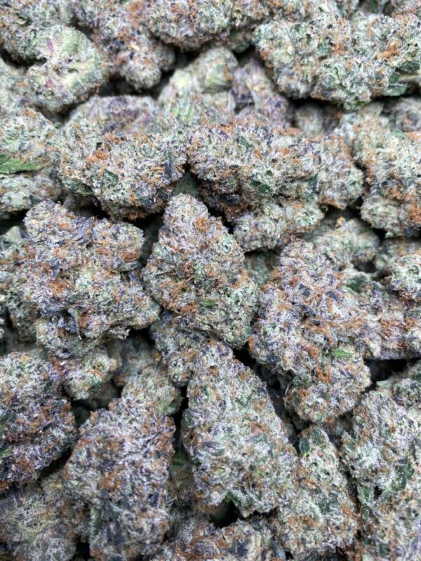 Blueberry Slushie strain