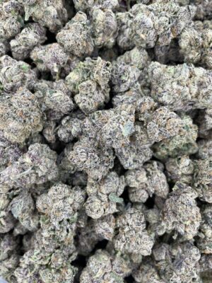 wagyu strain wagyu strain