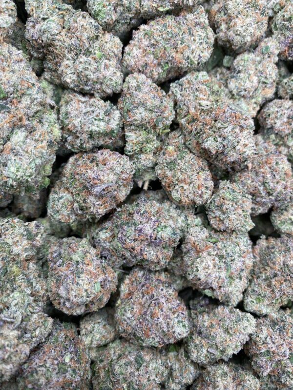 dirty fanta strain price