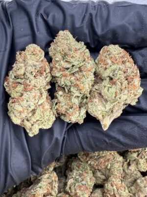 jungle juice strain jungle juice strain