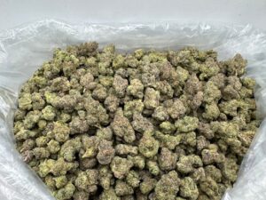 watermelon gelato strain watermelon gelato strain