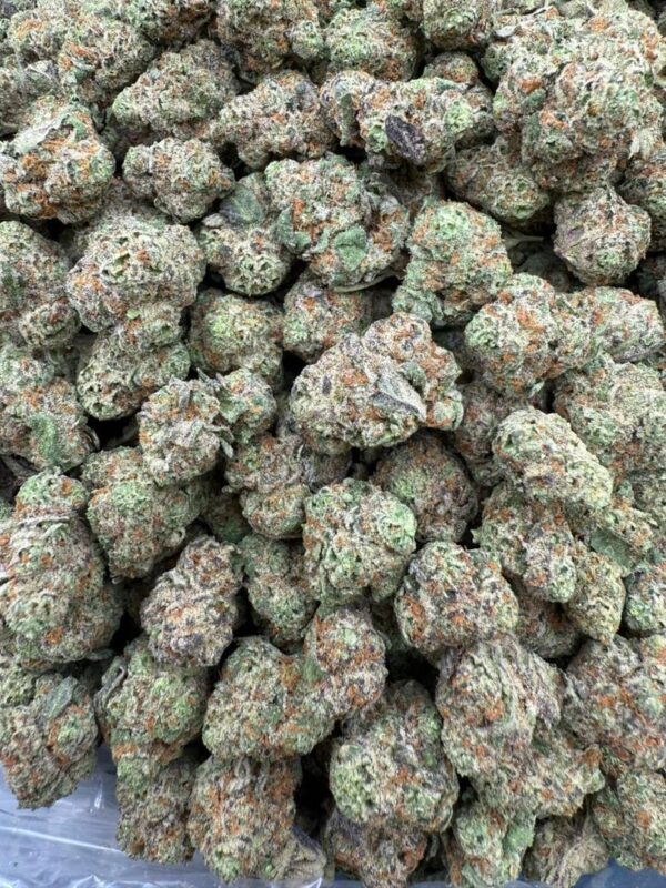 Blue Cherry Gelato Strain