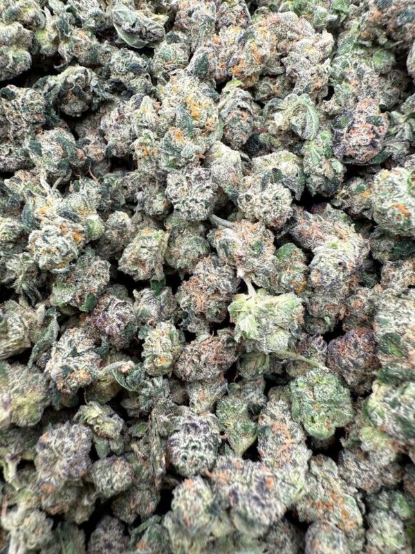 Grape Gas Strain Grape Gas Strain