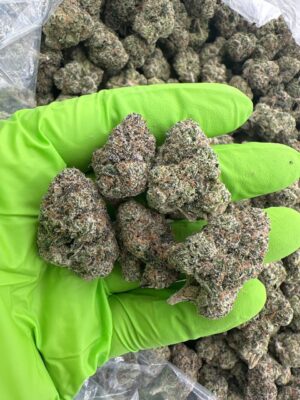 Kush Mintz Weed strain Kush Mintz Weed strain