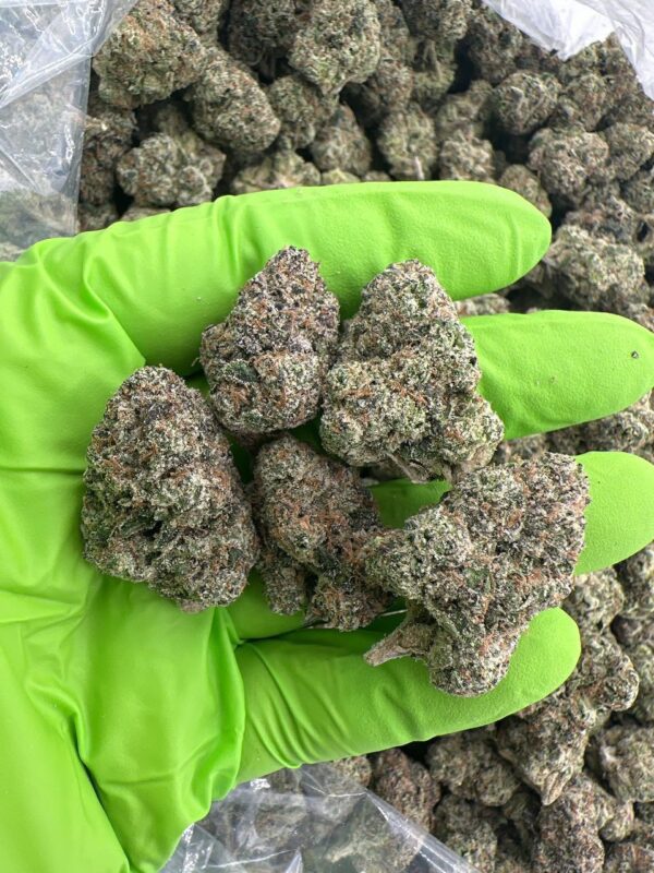 Kush Mintz Weed strain