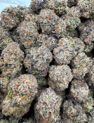 Lemonatti Strain Lemonatti Strain