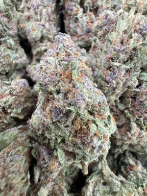 Sour Cookies Strain Sour Cookies Strain