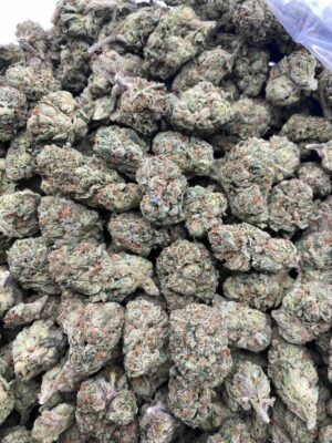 Super Buff Cherry Strain Super Buff Cherry Strain