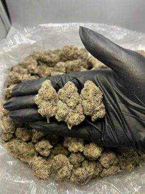 Blueberry Gelato Strain