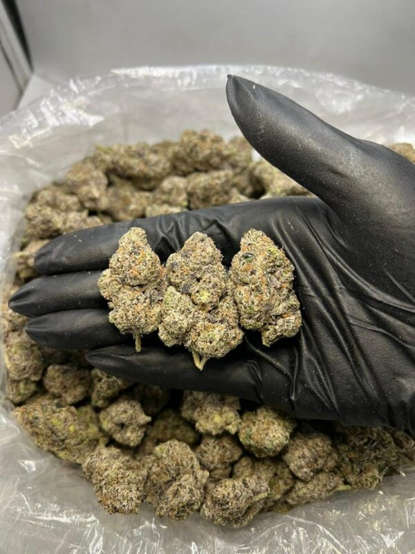 Blueberry Gelato Strain