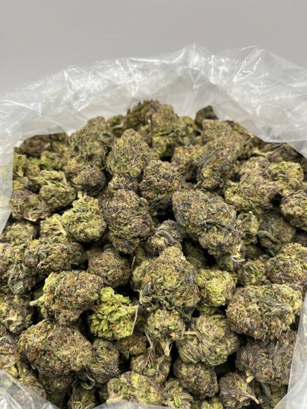 Candy Gas Weed Strain