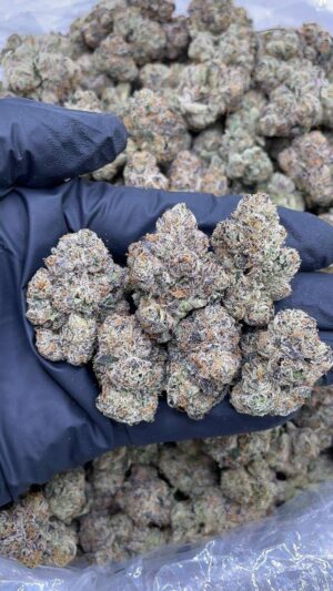 Cherry Bubblegum Strain