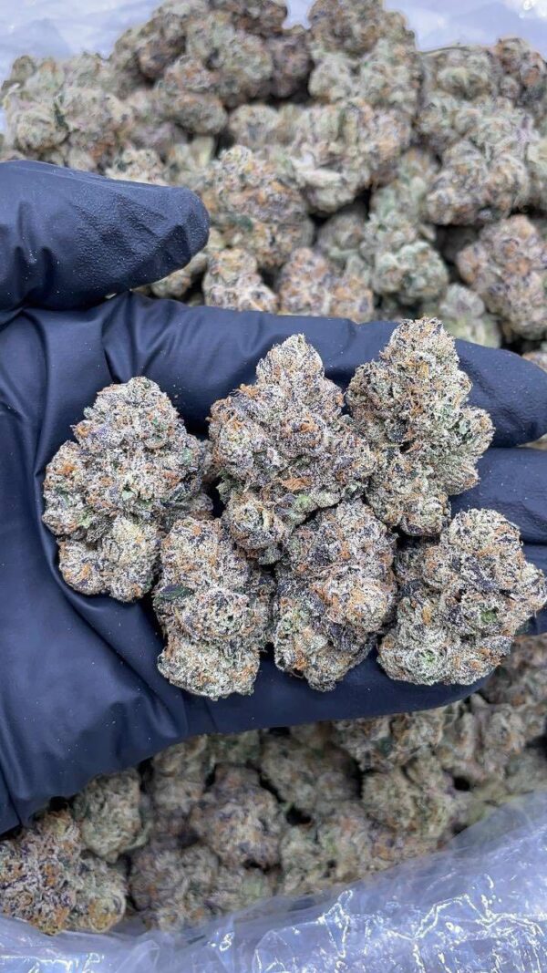 Cherry Bubblegum Strain