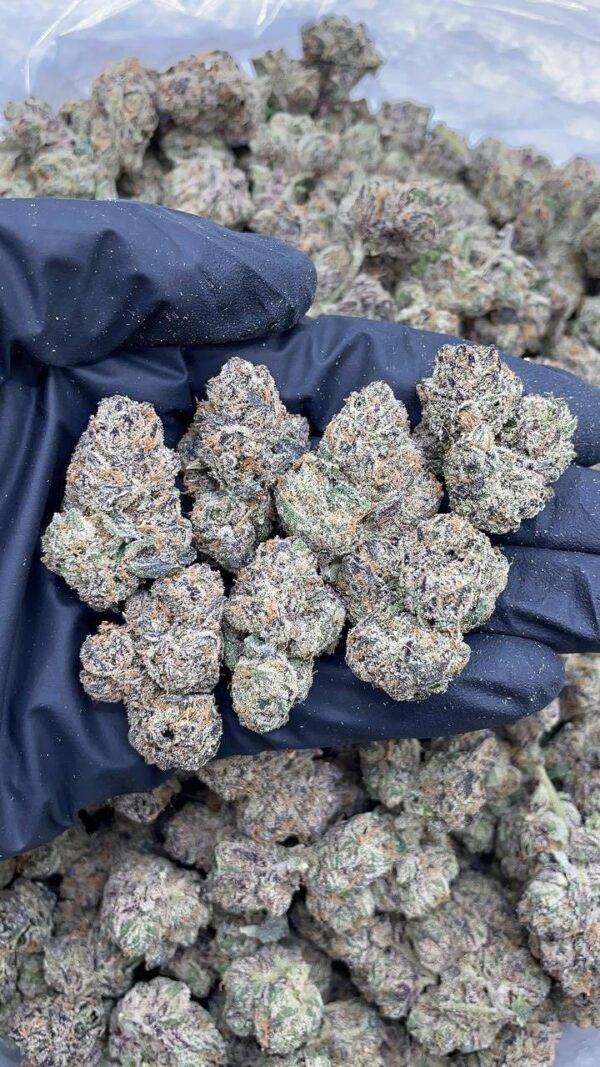 Curelato Strain Curelato Strain