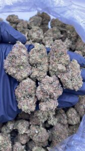 Grape Jelly Donut Strain