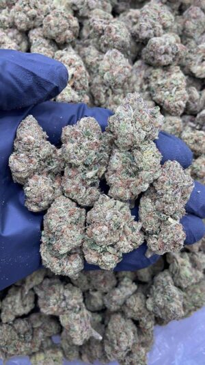 Jawbreaker Strain Jawbreaker Strain