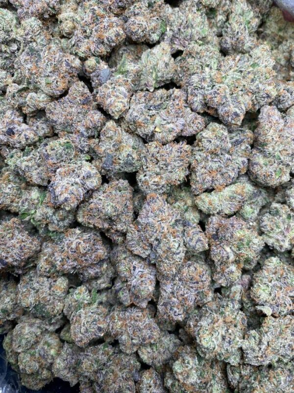 Kush Mintz Cookies Strain