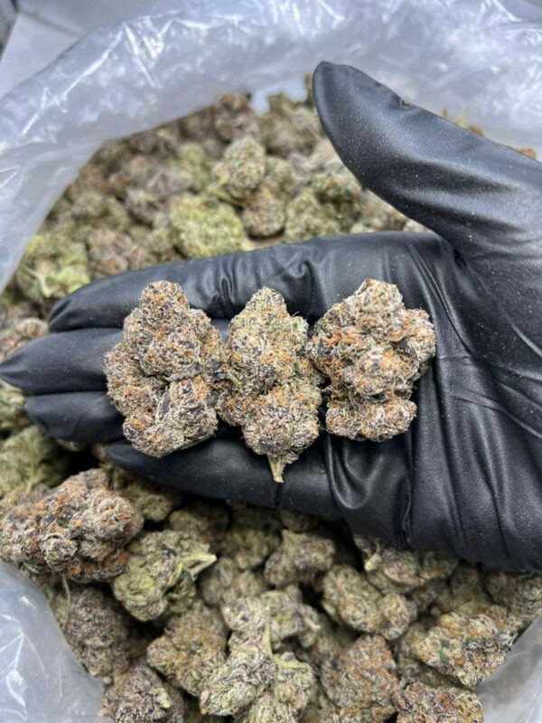 Muffin Top Kush Mintz Strain Muffin Top Kush Mintz Strain