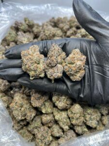 Raspberry Parfait Strain