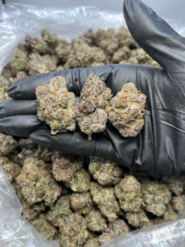 Raspberry Parfait Strain Raspberry Parfait Strain