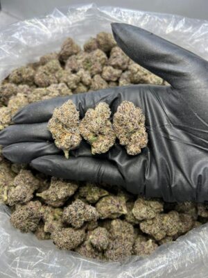 Sour Sprite Kush Mintz Strain