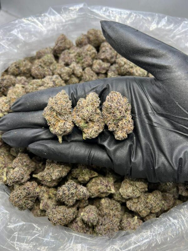 Sour Sprite Kush Mintz Strain