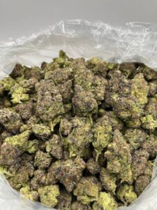 white gushers strain