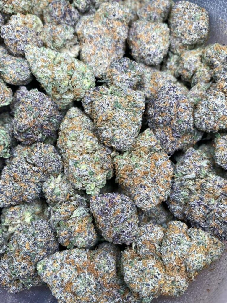 White Zerbert Strain Indica or Sativa