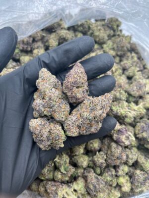 Cherry Blossom Strain